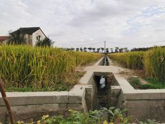 -嘉北郊野公园