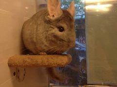 -龙猫仔乐园(惠福东路店)