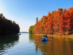 -上海海湾国家森林公园