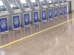 -谢列梅捷沃国际机场