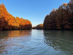 -上海海湾国家森林公园