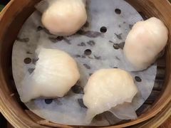 -添好运点心专门店(北角店)