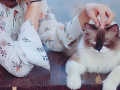 -灯塔咖啡馆BOOK·Coffee Shop