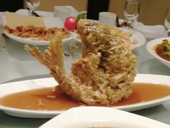 糖醋鲤鱼-老牌坊鲁菜名店(美莲广场店)