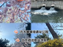 -元大都城垣遗址公园