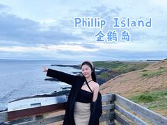 -企鹅岛