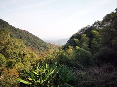 -韬光茶庵
