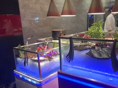 -西安W酒店·WEI全味西餐厅