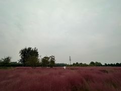 -汉长安城未央宫国家考古遗址公园