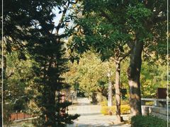 -草庵摩尼教遗址公园