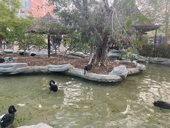 -灵玲国际马戏城