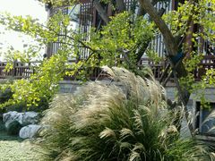 仲秋禅意-浦江之首