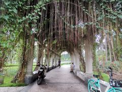 -文华公园(禅城区)