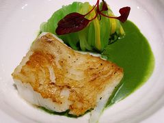 香煎银鳕鱼配香草蛤蜊黄油汁-蝶舍·MAISON PAPILLON