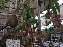 -秦美花卉(天朗·莱茵小城2期店)