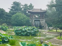 -国家植物园南园