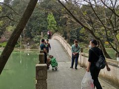 -铁山坪森林公园