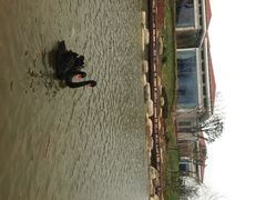 iphone_upload_pic-苏州金鸡湖大酒店