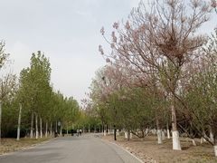 -水西公园