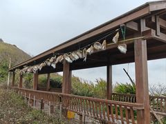 -南麂列岛