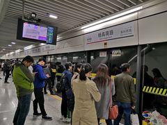 -杨高南路(地铁站)