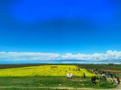 -青海湖国家重点风景名胜区