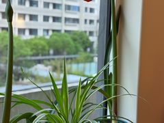 -泰康之家·申园