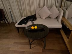 -深圳湾木棉花酒店