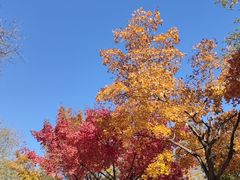 -石家庄市动物园