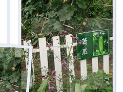 -三圣里·中餐宴请·自助烤肉·烤全羊·柴火鸡(旗舰店)
