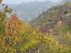 -大岭沟猕猴桃谷风景区