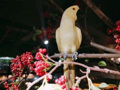 -别院里音乐餐酒吧(双流航空港店)