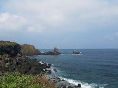 -涉地可支