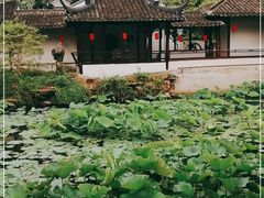 -上海醉白池公园