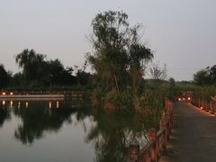 -宁波杭州湾国家湿地公园