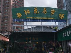 门面-曲阳花鸟市场(曲阳路店)