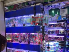 -三旗百汇商品城