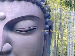 -杭州植物园