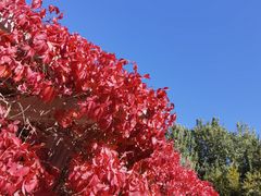 -敦煌莫高窟