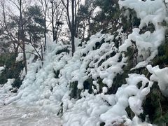 -沂蒙山旅游区龟蒙景区