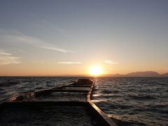 -呈贡滇池生态湿地公园