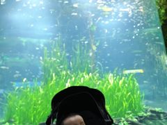 -海合安成都极地海洋公园