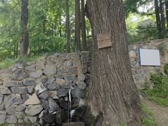 -阳台山自然风景区