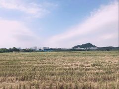 -光明小镇欢乐田园