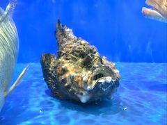 -双天海鲜楼 · 43年老字号