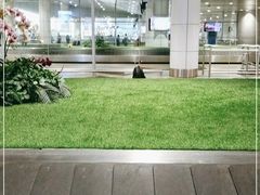 -吉隆坡国际机场