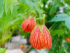 -南通洲际绿博园