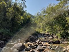 -广州白江湖森林公园