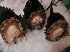 -揽季锅物会.福建黄鱼.海鲜姿造(五四路店)