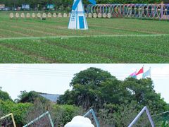 -盈香心动乐园